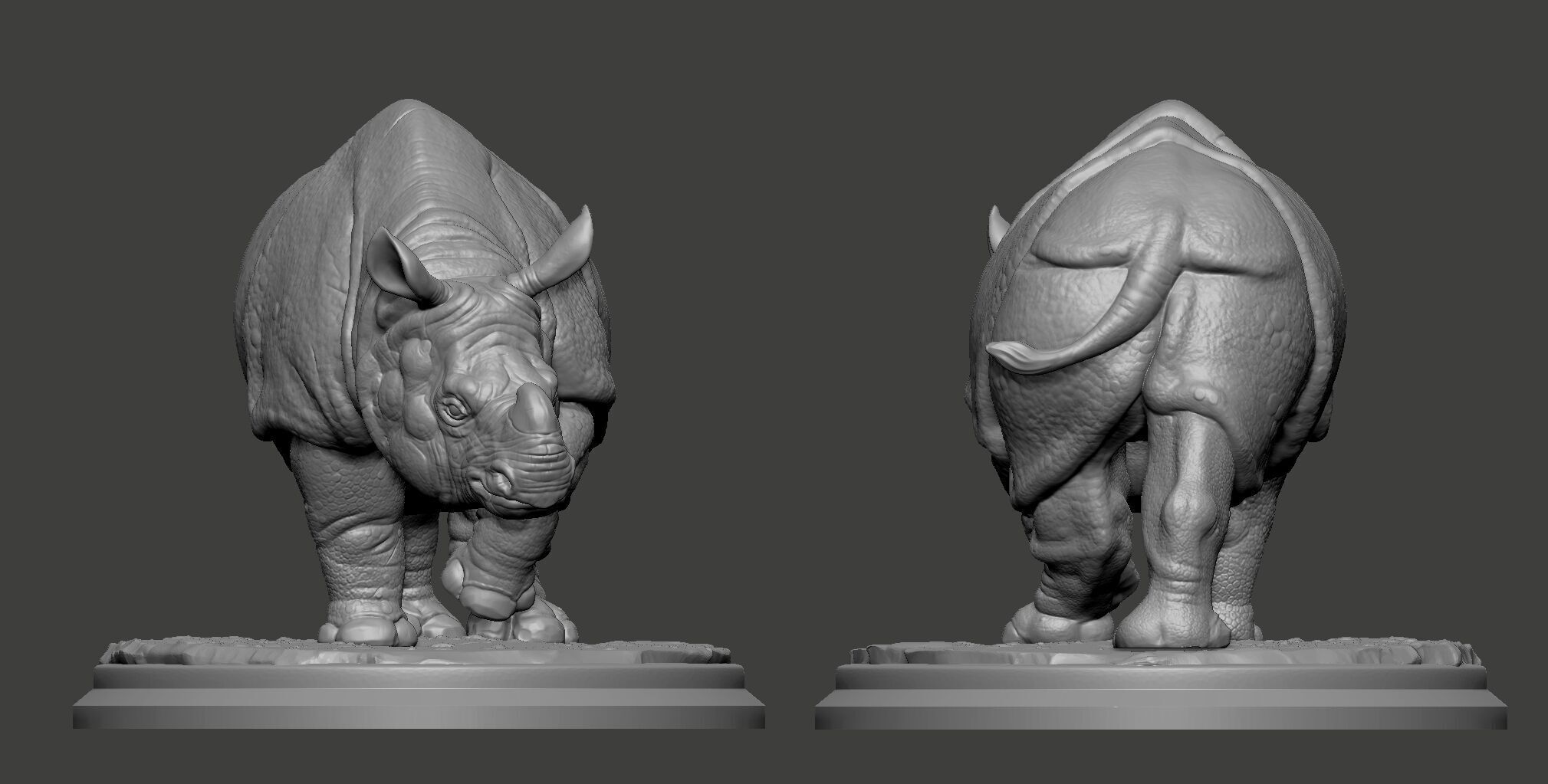 Indian rhinoceros 3D print model_9