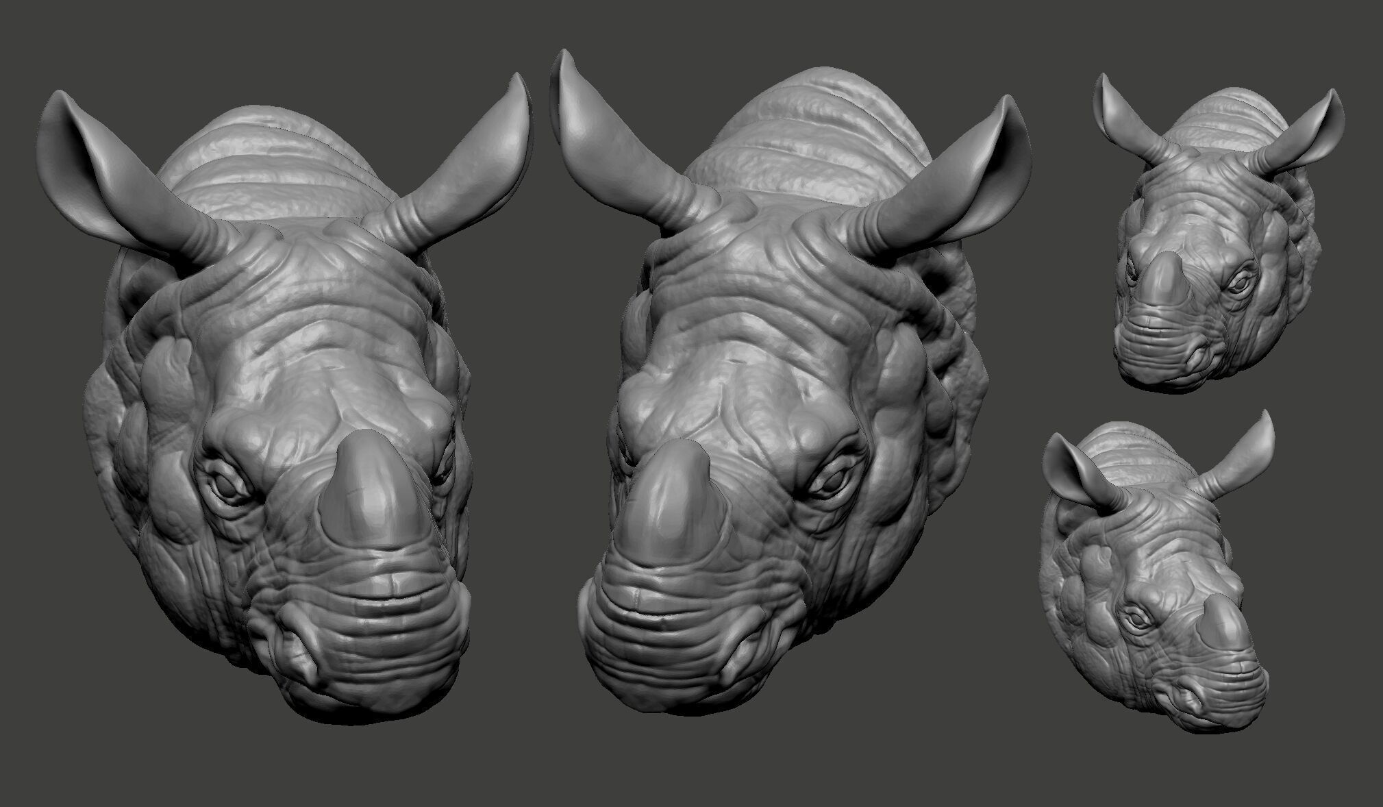 Indian rhinoceros 3D print model_5