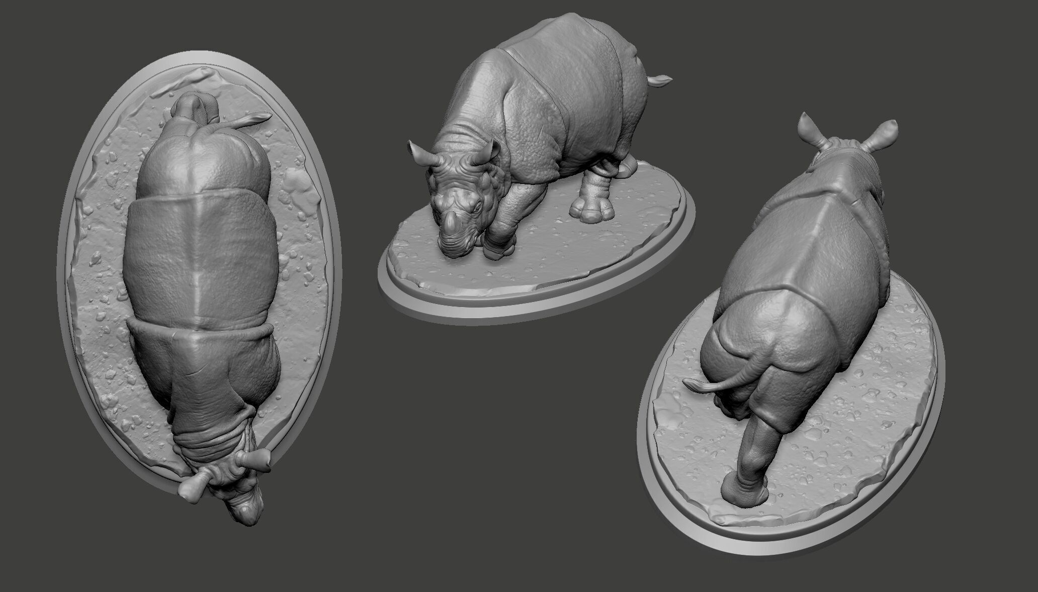 Indian rhinoceros 3D print model_8