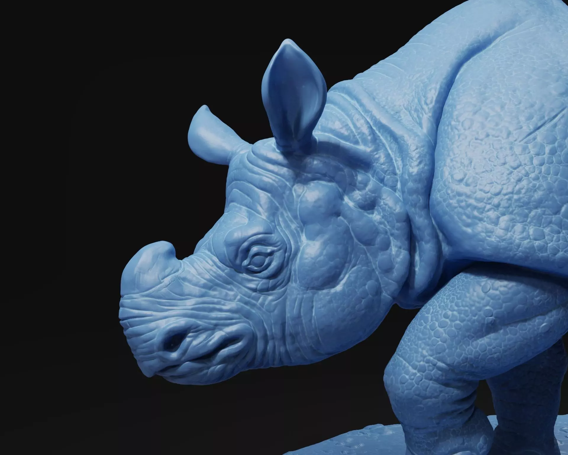 Indian rhinoceros 3D print model_0