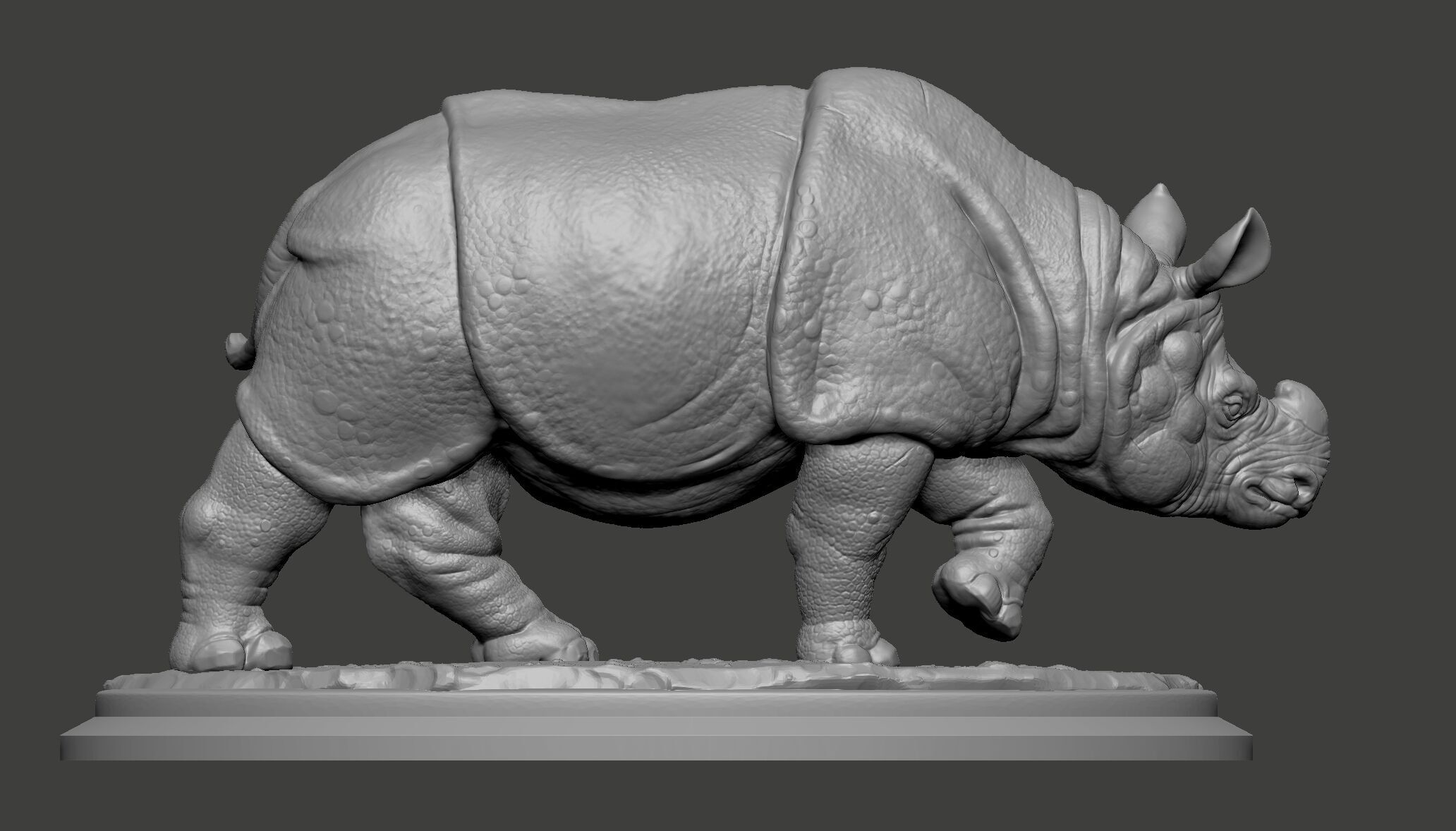 Indian rhinoceros 3D print model_7