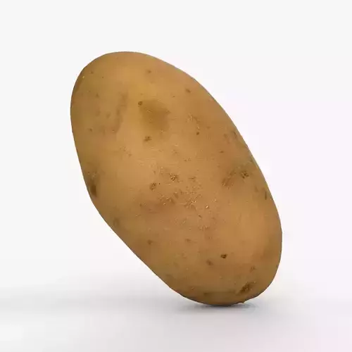 Photorealistic 3D scan of potato Low-poly 3D model