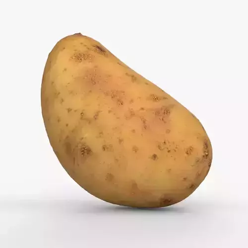 Photorealistic 3D scan of potato Low-poly 3D model