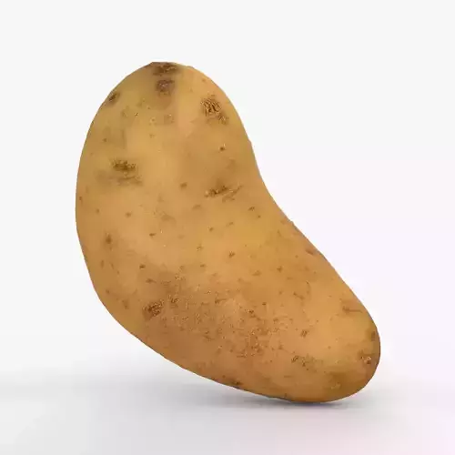 Photorealistic 3D scan of potato Low-poly 3D model
