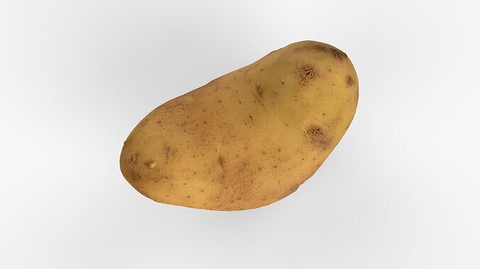 Photorealistic 3D scan of potato Low-poly 3D model 7