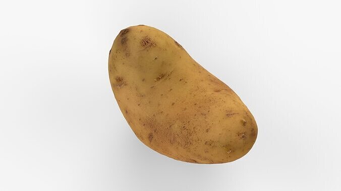 Photorealistic 3D scan of potato Low-poly 3D model 2