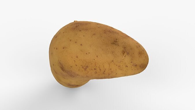 Photorealistic 3D scan of potato Low-poly 3D model 6