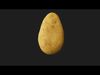 Photorealistic 3D scan of potato Low-poly 3D model_1