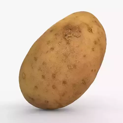 Photorealistic 3D scan of potato Low-poly 3D model