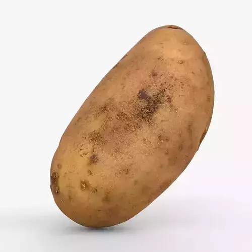 Photorealistic 3D scan of potato Low-poly 3D model