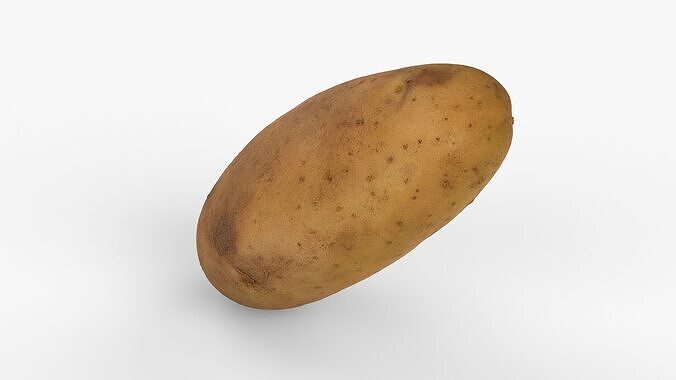 Photorealistic 3D scan of potato Low-poly 3D model 3