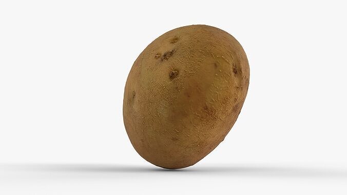 Photorealistic 3D scan of potato Low-poly 3D model 2