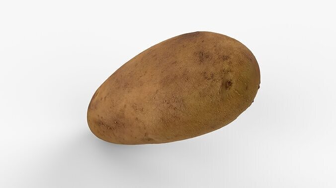 Photorealistic 3D scan of potato Low-poly 3D model 6