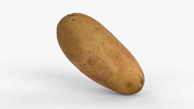 Photorealistic 3D scan of potato Low-poly 3D model 7