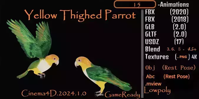 Yellow Thighed Parrot Bird