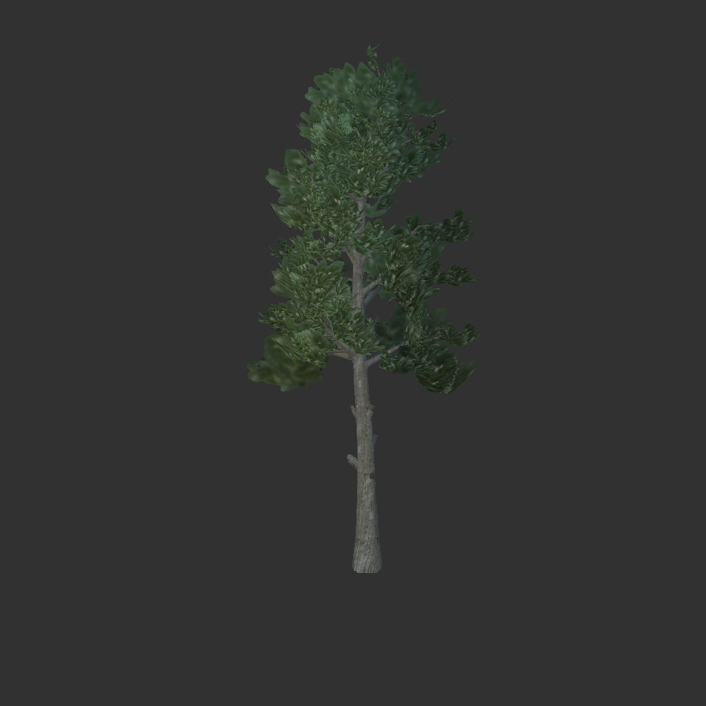 Free Tree Free low-poly 3D model_3