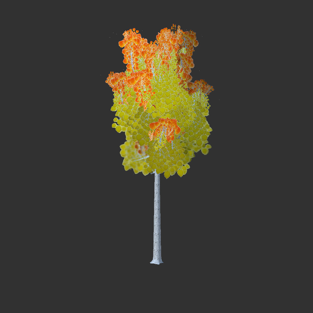 Free Tree Free low-poly 3D model_4