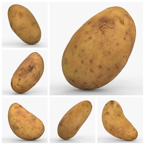 Photorealistic 3D scan of potatoes 3D Model Collection 