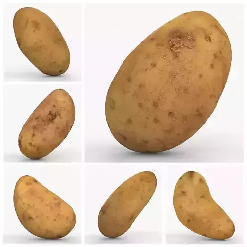Photorealistic 3D scan of potatoes 3D Model Collection 