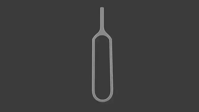 3D Sim Pin Key Stainless Steel 3D model 3D model