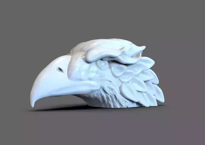 Mexican Eagle Head