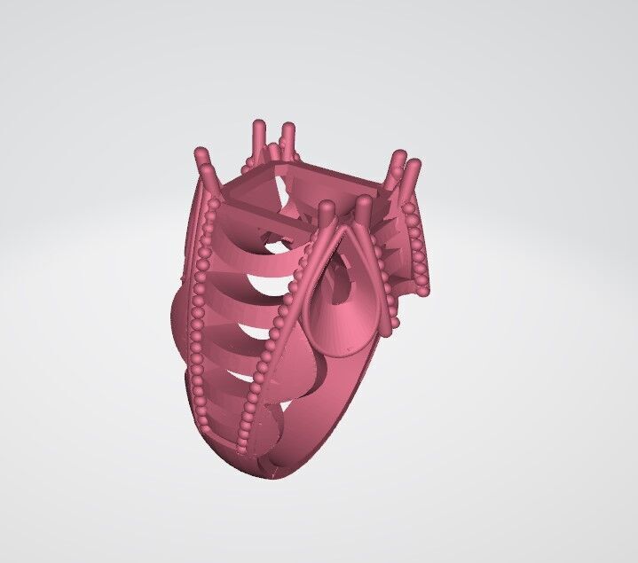 Men Ring 3D print model_2