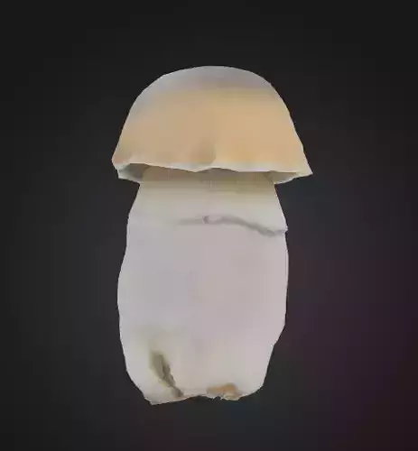 Albino Penis Envy Mushroom APE 3D model