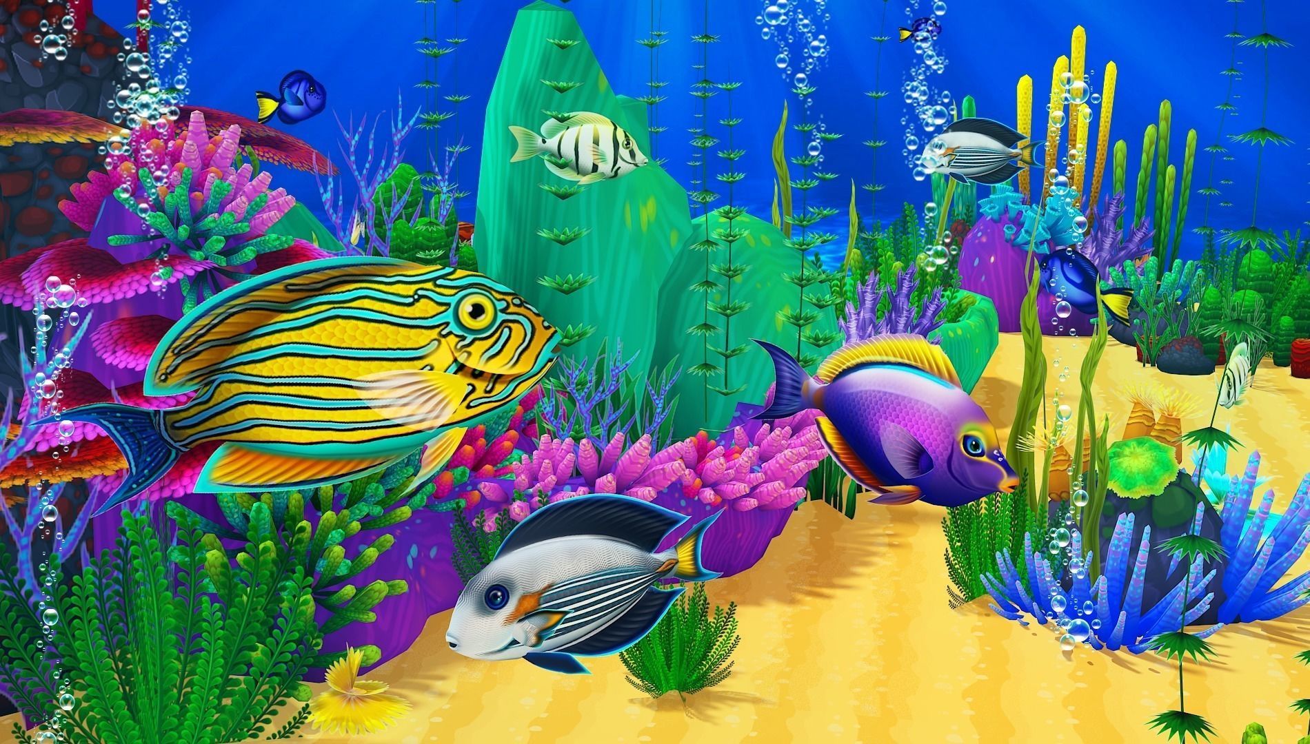 Cartoon Tang Fish Low-poly 3D model_11