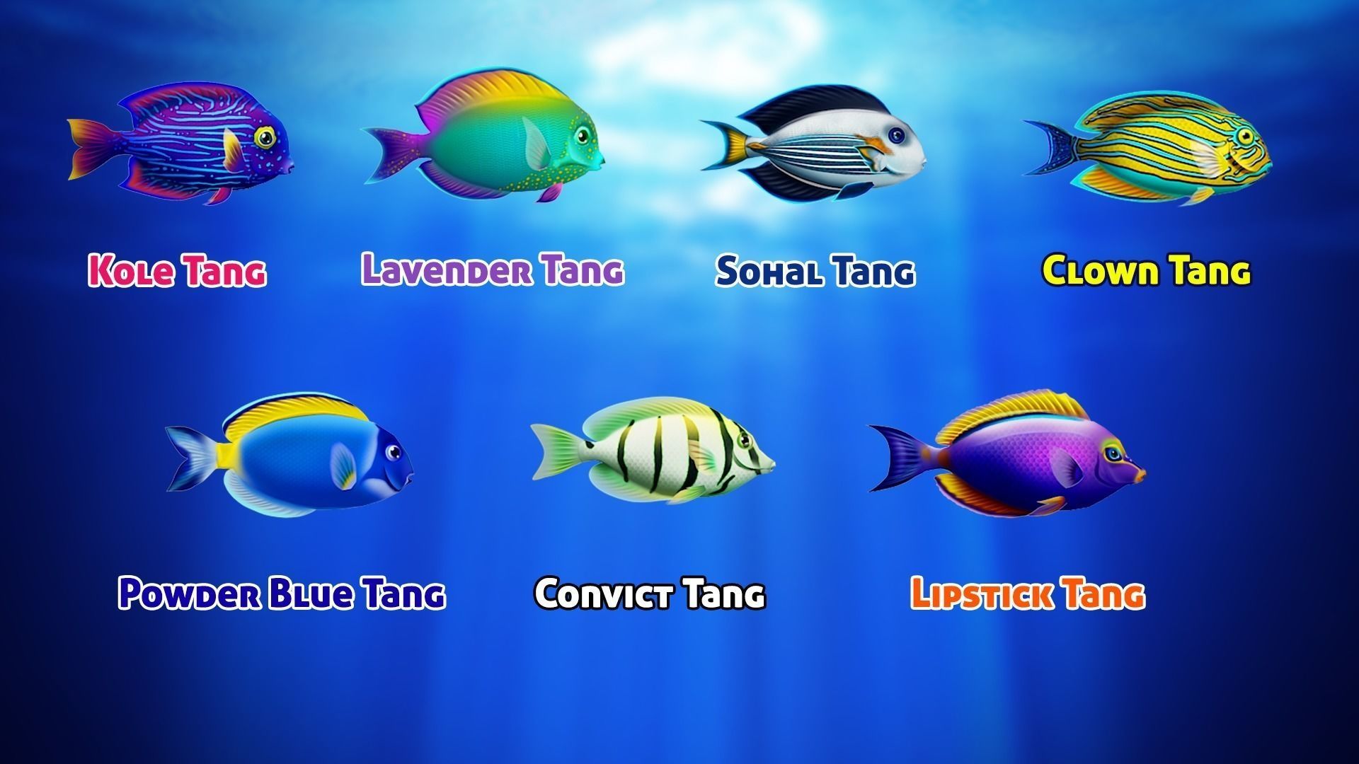 Cartoon Tang Fish Low-poly 3D model_5