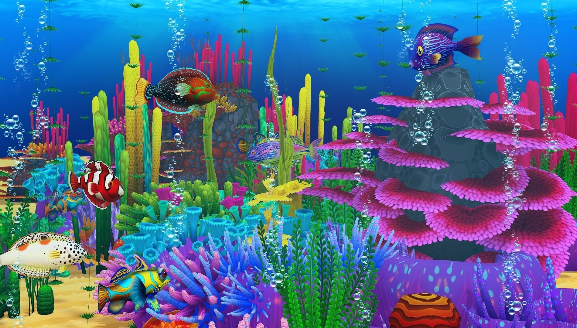 Cartoon Tang Fish Low-poly 3D model_9