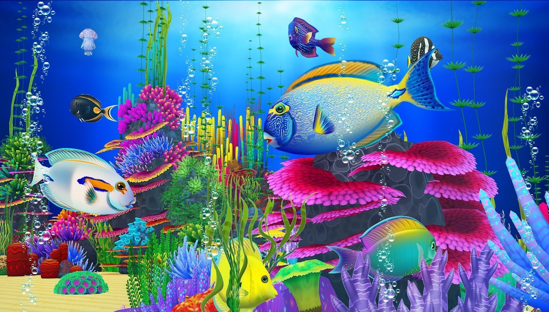 Cartoon Tang Fish Low-poly 3D model_8