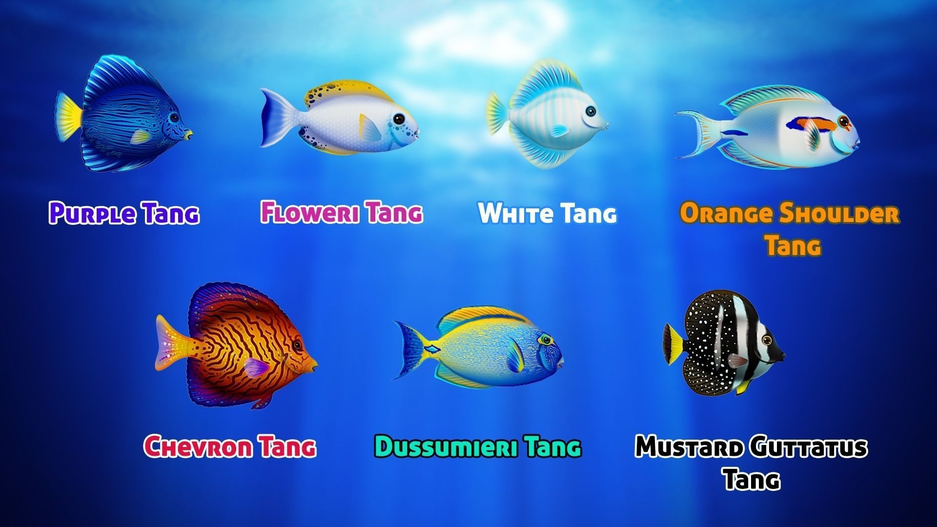 Cartoon Tang Fish Low-poly 3D model_3
