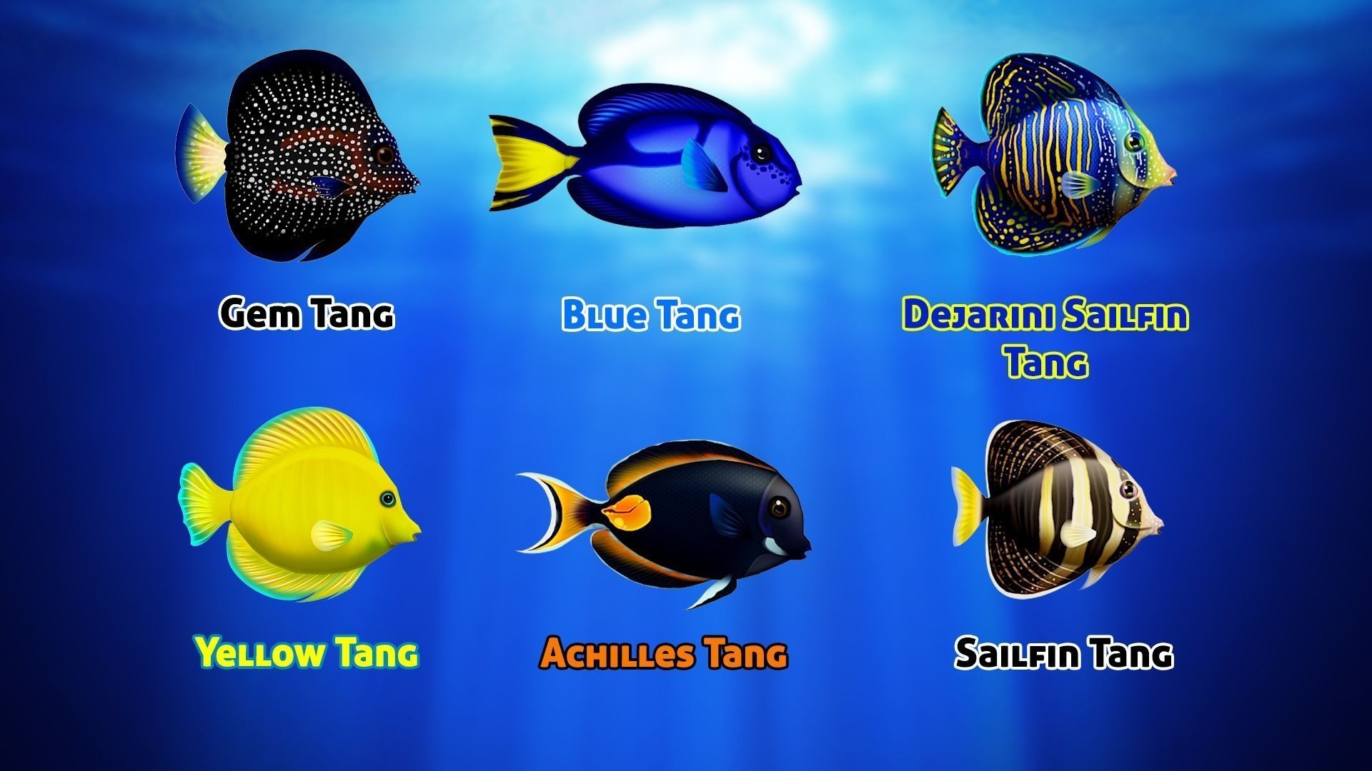 Cartoon Tang Fish Low-poly 3D model_4