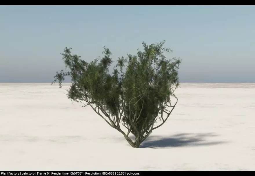 Game ready low Palo verd tree Low-poly 3D model