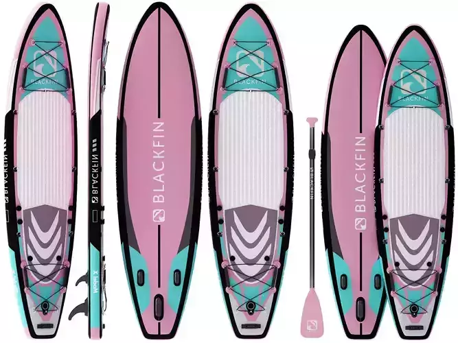 blackfin paddle board 3D model