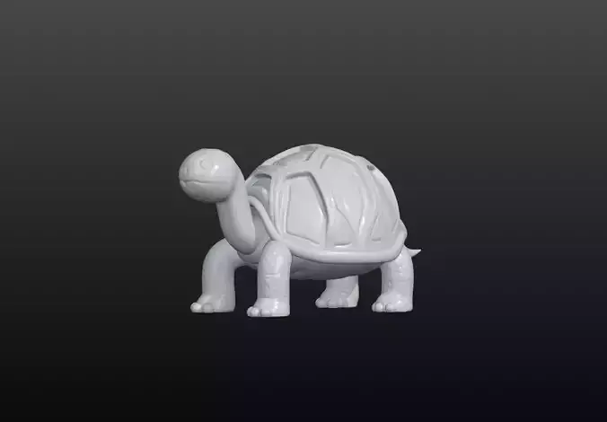 turtle