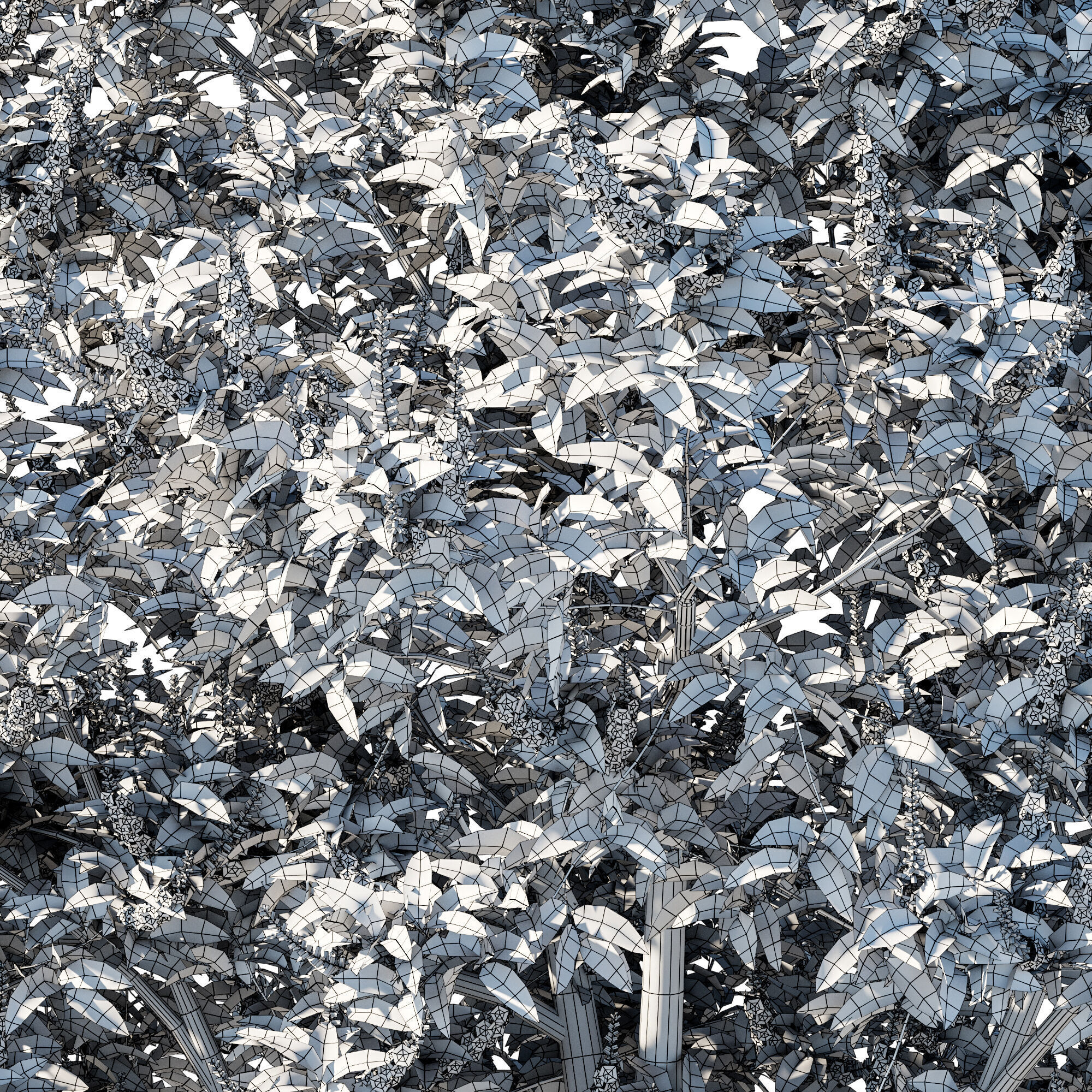 Prunus lusitanica tree 3D model_3