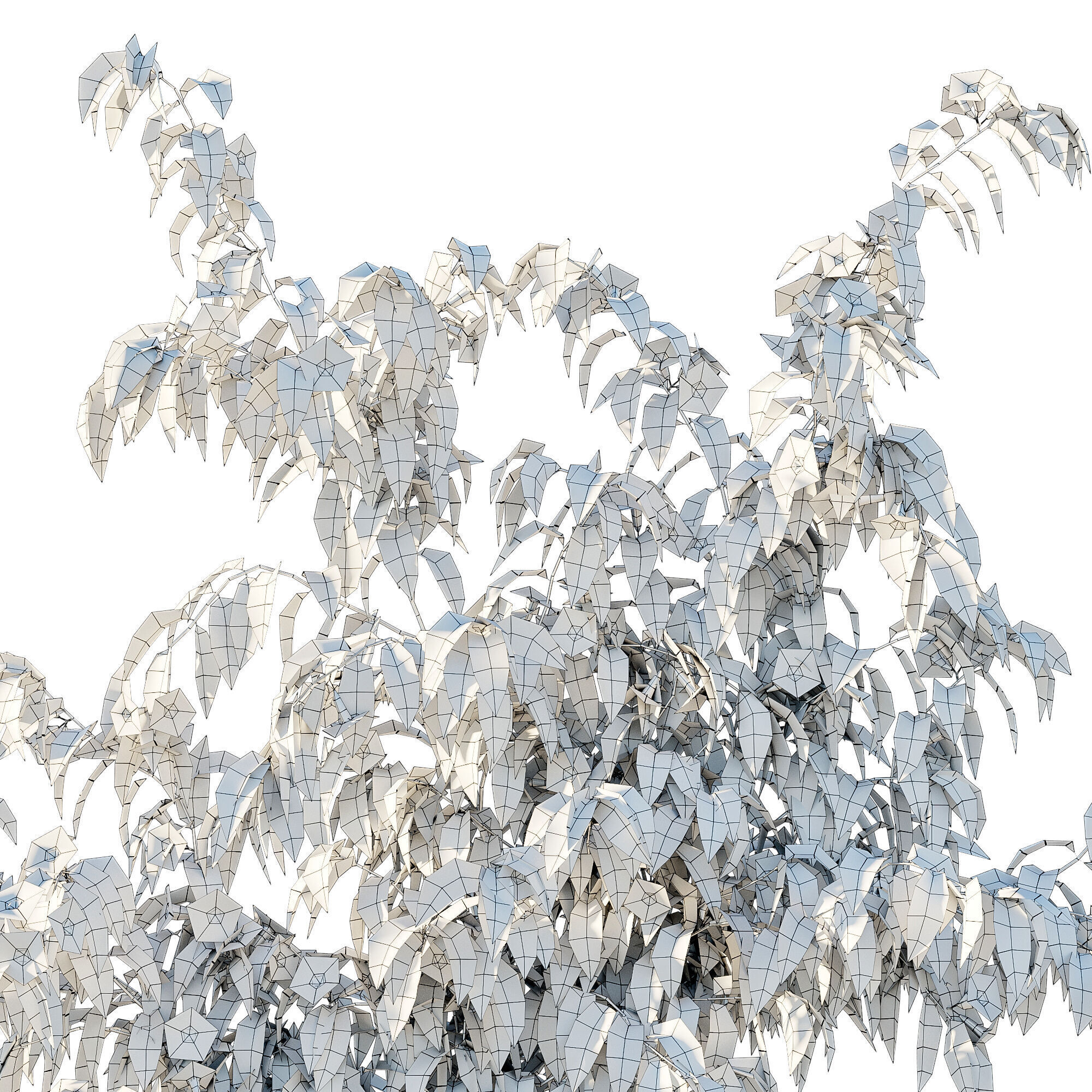 Ratibida columnifera vines 02 3D model_3