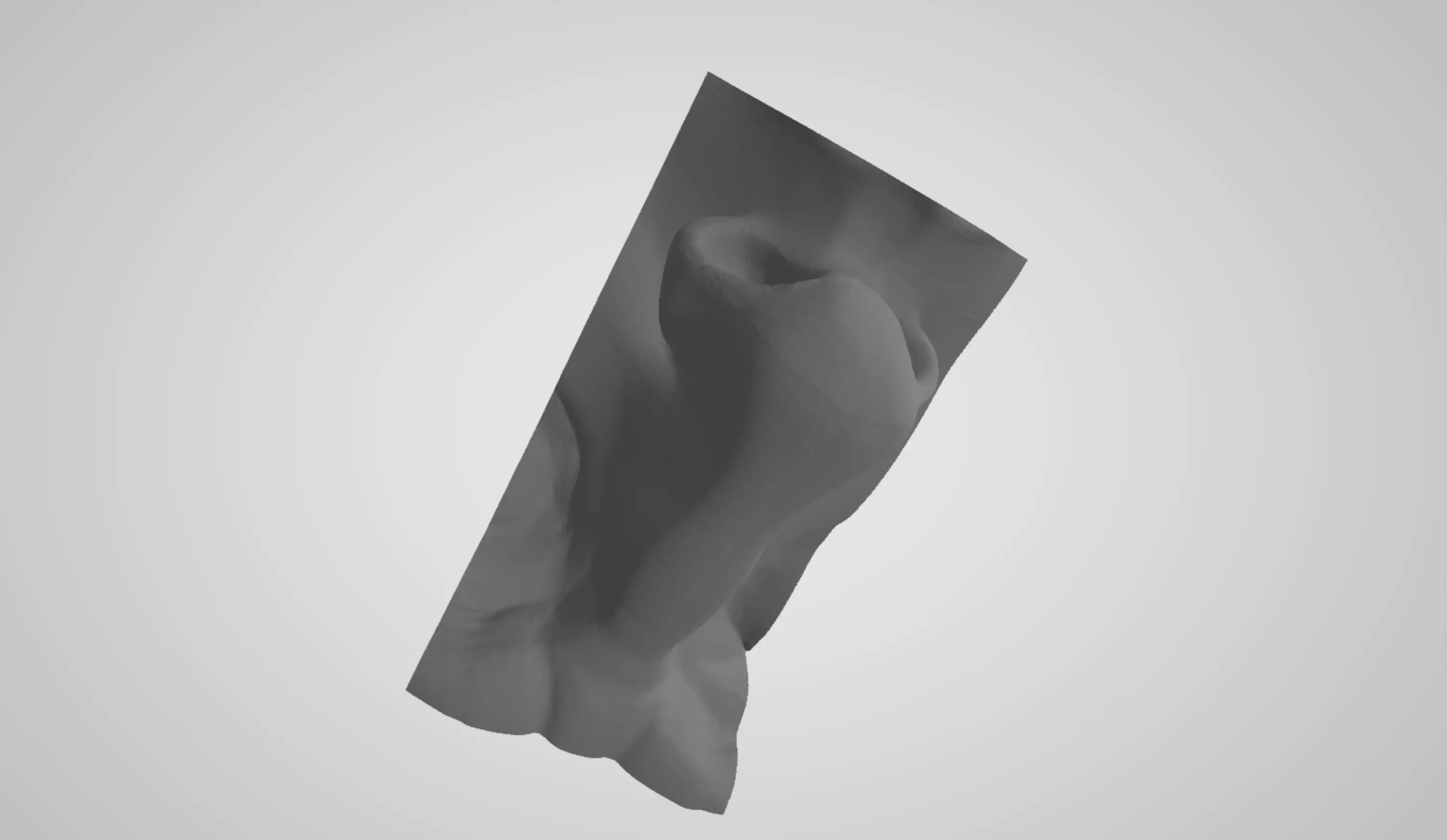 Nose Mesh for Sculpting training Free 3D print model_0