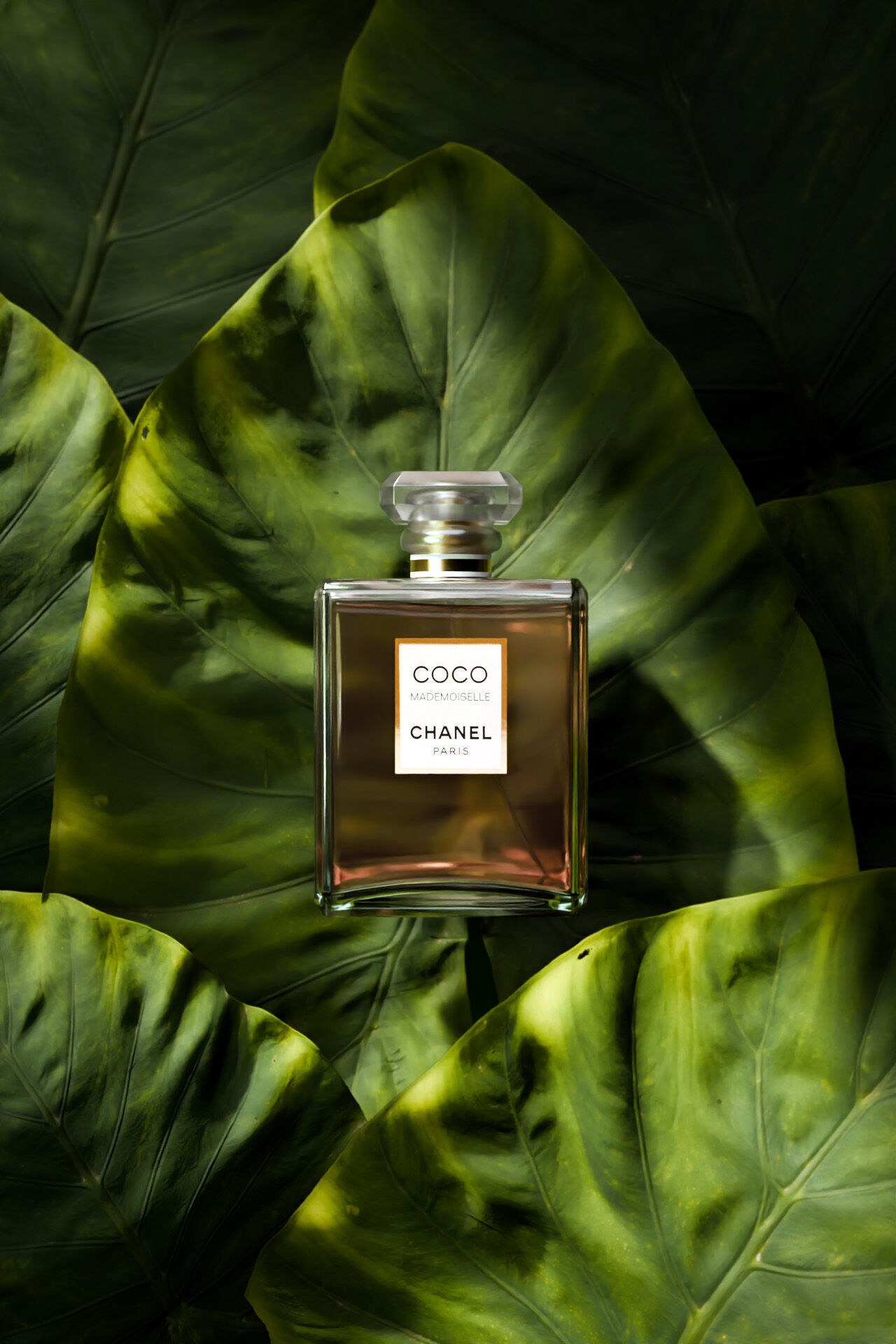 Luxury Perfume - Realistic 3D model_4