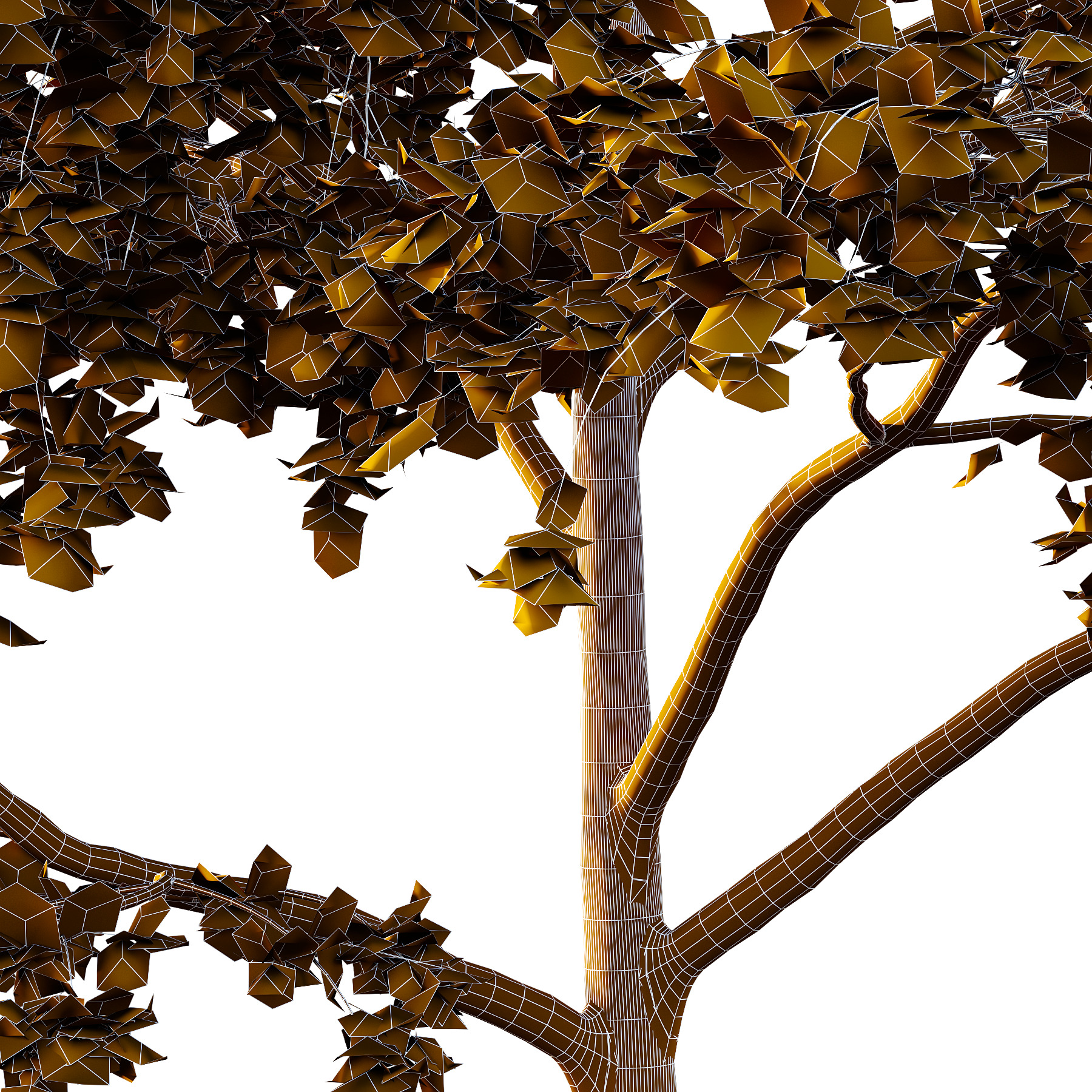 Acer Pseudoplatanus Tree 07 3D model_4