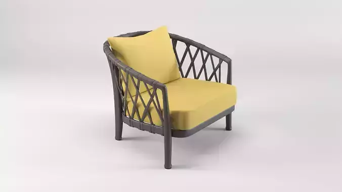 Modern Woven Rattan  Armchair with Cushion