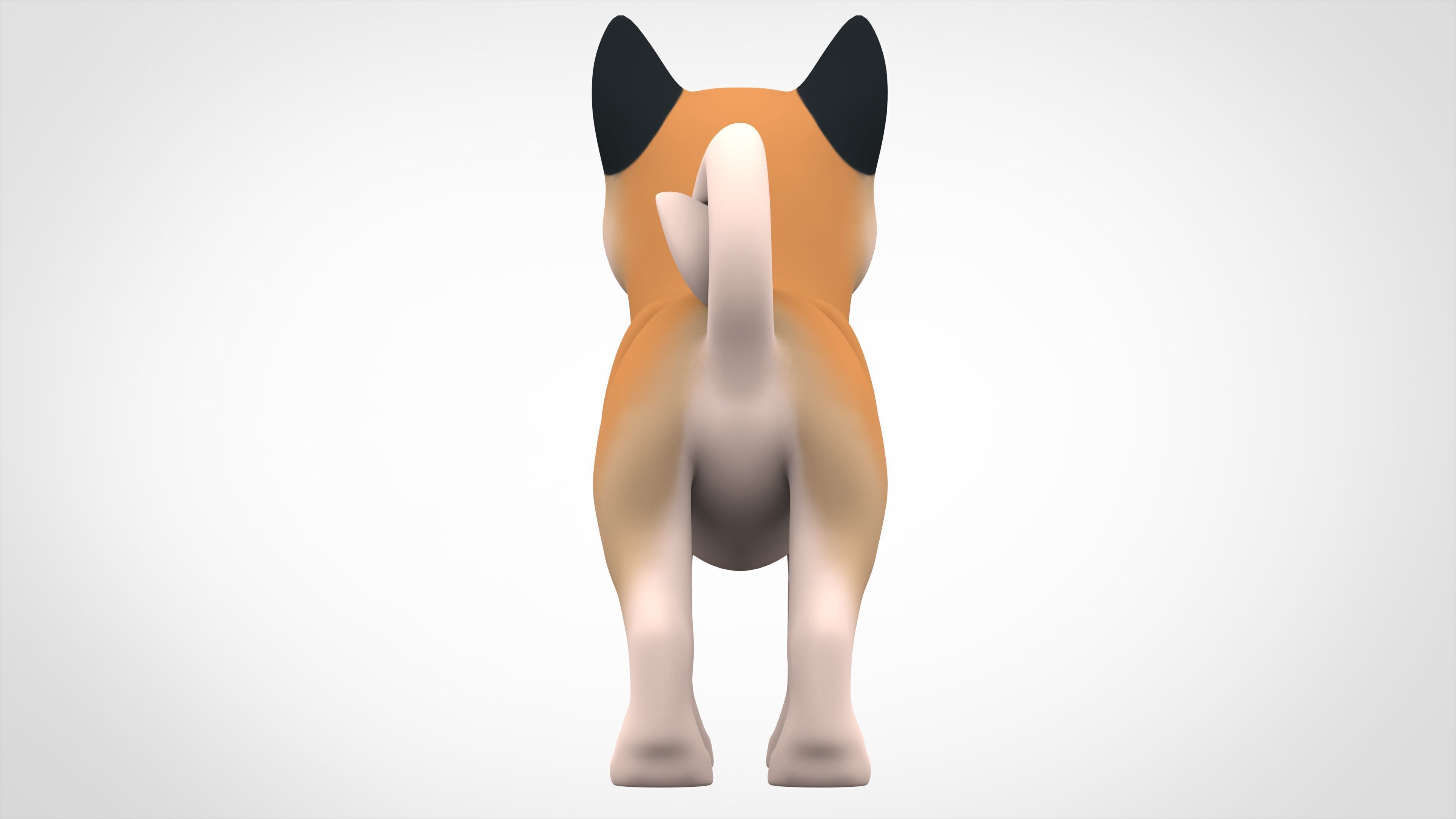 American Akita Low-poly 3D model_3