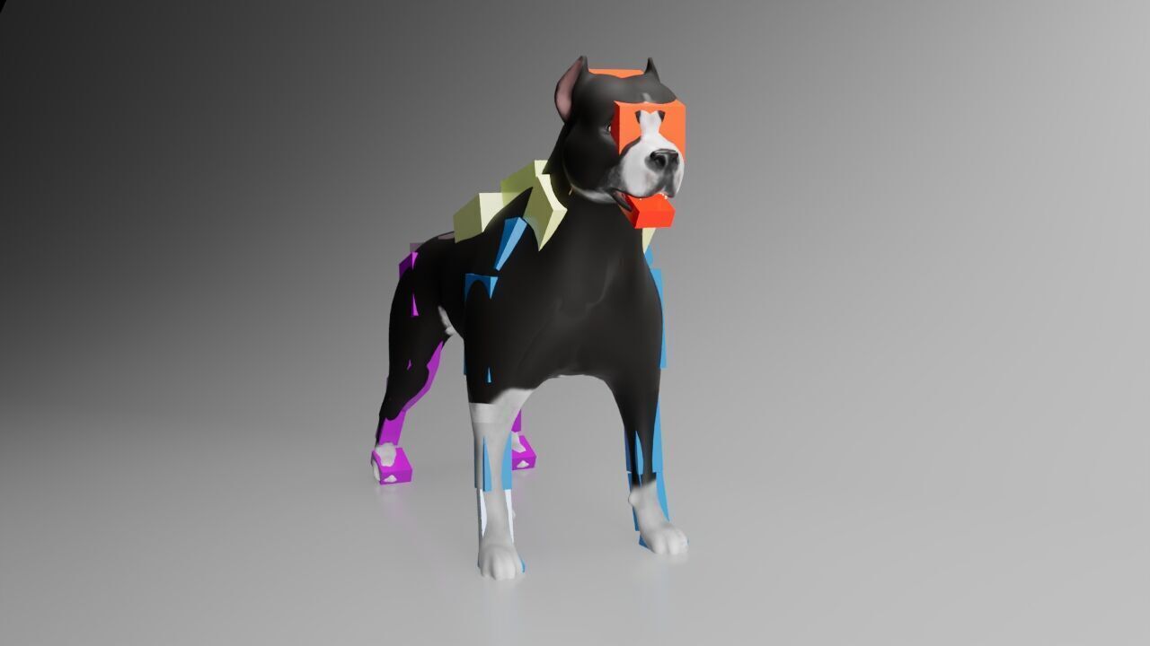 This is a model of a pit bull dog Low-poly 3D model_4
