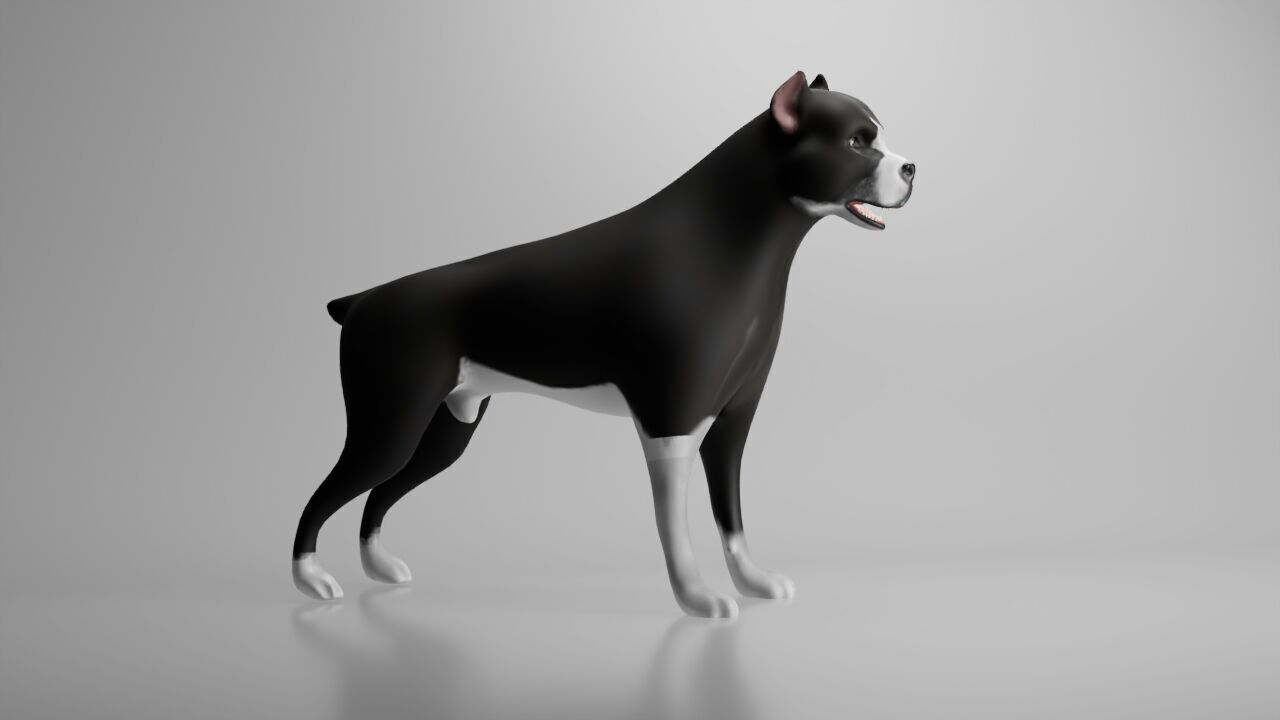 This is a model of a pit bull dog Low-poly 3D model_1