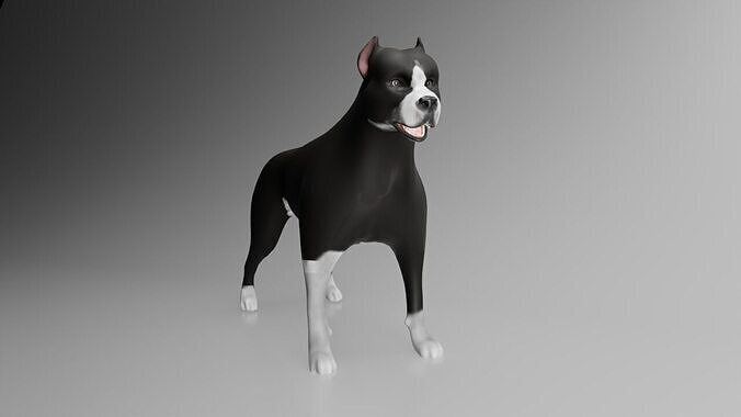 This is a model of a pit bull dog Low-poly 3D model