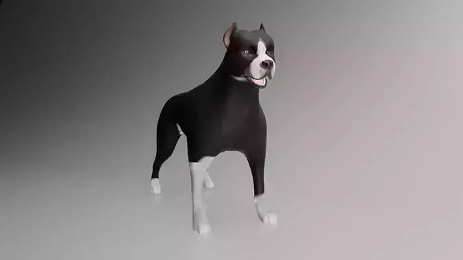 This is a model of a pit bull dog Low-poly 3D model