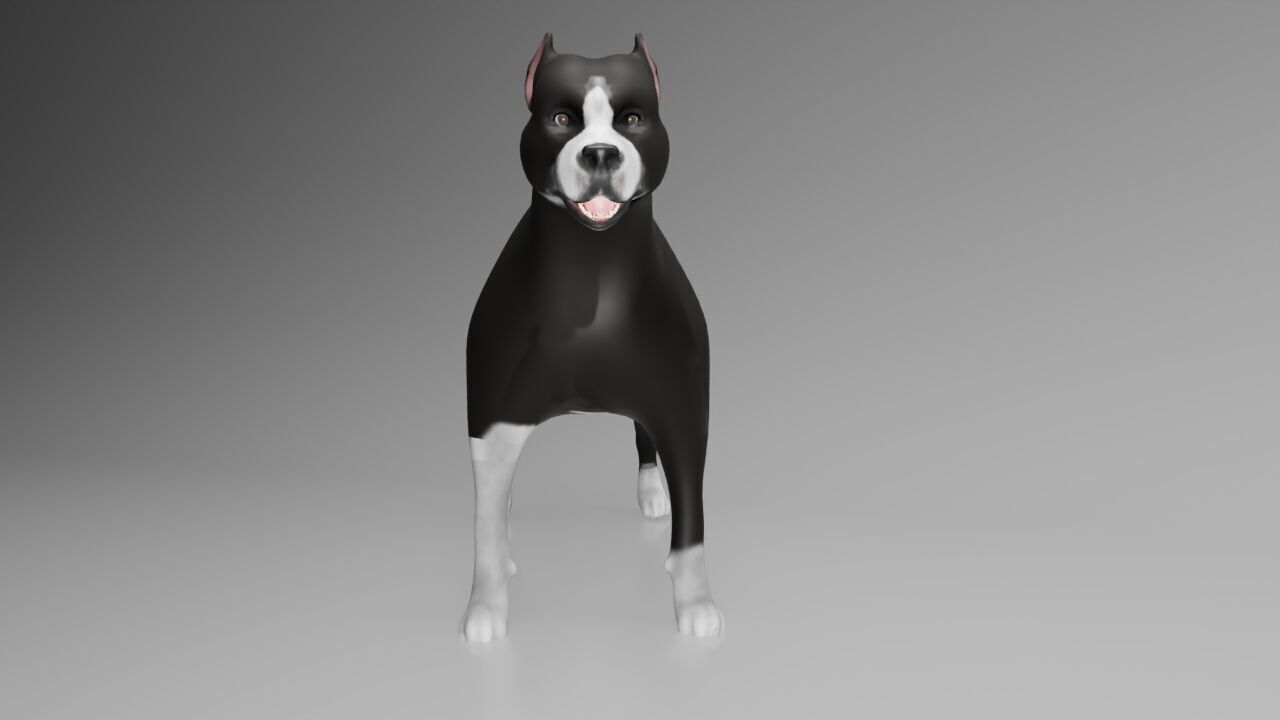 This is a model of a pit bull dog Low-poly 3D model_2