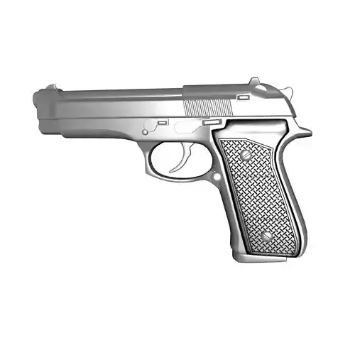 Beretta silver gun