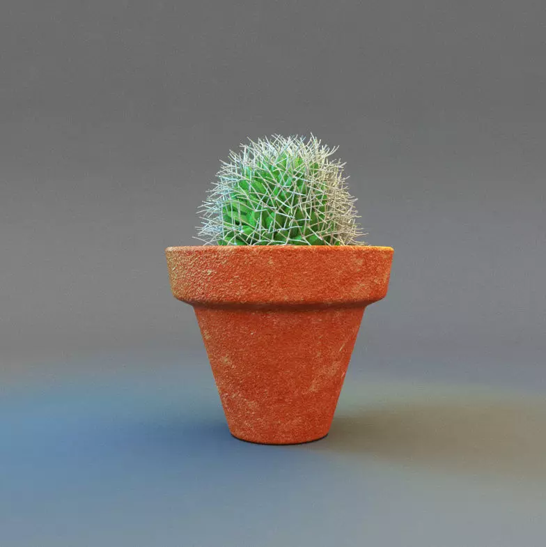 Cactus plant Free 3D model